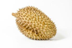 single durian Aan de wit achtergrond foto