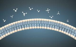 cel membraan en moleculen, 3d weergave. foto