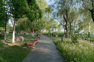 de landschap van stad centrum park. foto