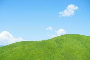 nalati grasland met de blauw lucht. foto