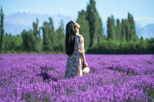 lavendel landhuis Aan een zonnig dag. foto