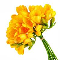 boeket van een mooi geel bloemen foto