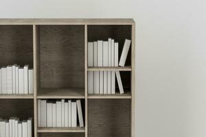 boekenplank met boeken binnen in de leeg nieuw huis, 3d weergave. foto