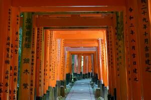 de altaar van de duizend torii poorten. fushimi inari altaar. het is beroemd voor haar duizenden van vermiljoen torii poorten. Japan foto