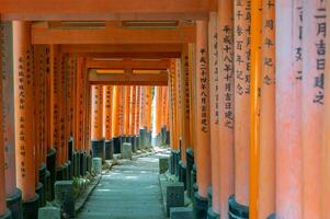 de altaar van de duizend torii poorten. fushimi inari altaar. het is beroemd voor haar duizenden van vermiljoen torii poorten. Japan foto