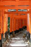 de altaar van de duizend torii poorten. fushimi inari altaar. het is beroemd voor haar duizenden van vermiljoen torii poorten. Japan foto