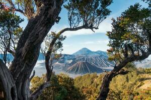 de zonsopkomst van de bromo vulkaan, schot in Java, Indonesië foto