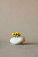 abstract natuurlijk samenstelling van wit zout steen en geel bloemen van limonium sinuatum Aan neutrale beige achtergrond. kopiëren ruimte. modieus minimalistische stijl foto