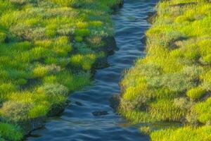 de rivier- tussen de bergen in een zonnig dag, 3d renderen foto