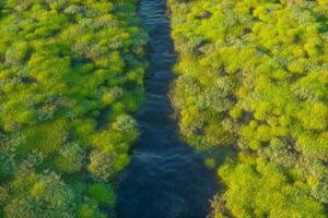 de rivier- tussen de bergen in een zonnig dag, 3d renderen foto