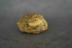 de zuiver stuk van rauw goud nugget graver van metaal de mijne. foto