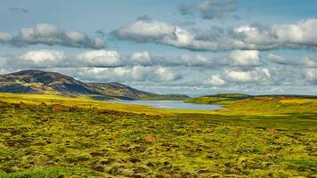 panoramisch over- IJslands kleurrijk en wild landschap met lava veld- gedekt door oude mos Bij zomer zonnig dag met blauw lucht, IJsland foto