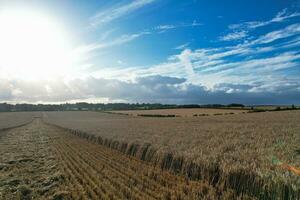 hoog hoek beeldmateriaal van Brits agrarisch boerderijen Bij platteland landschap dichtbij luton stad van Engeland Super goed Brittannië van uk. beeldmateriaal was gevangen genomen met drone's camera Aan augustus 19e, 2023 foto