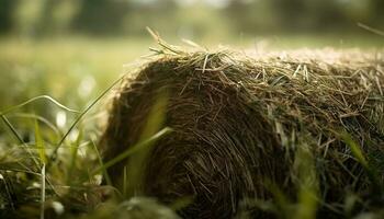 groen gras groeit in de weide, een symbool van natuur groei gegenereerd door ai foto