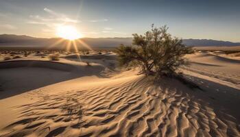 zonsondergang over- de dor Afrikaanse landschap, een rustig schoonheid in natuur gegenereerd door ai foto