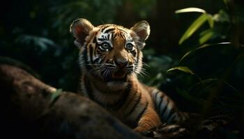 Bengalen tijger schuilplaats in de tropisch regenwoud gegenereerd door ai foto