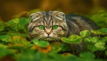 schattig katje zittend in gras, staren met speels nieuwsgierigheid gegenereerd door ai foto