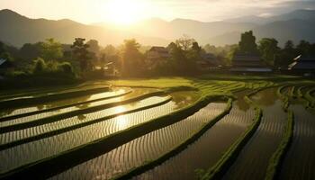 agrarisch boerderij in Bali, rijst- padie, natuur groei, tropisch zonsondergang gegenereerd door ai foto