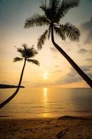 prachtig paradijselijk eiland met strand en zee rondom kokospalm foto