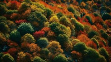 bomen zijn rood en oranje in herfst ai generatief foto