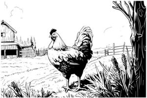 kippen in boerderij schetsen. landelijk landschap in wijnoogst gravure stijl vector illustratie. foto