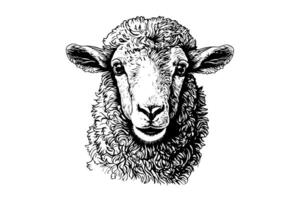 schattig schapen of lam hoofd gravure stijl vector illustratie. realistisch afbeelding. foto