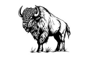 hand- getrokken buffel. vector illustratie van stier inkt schetsen gravure stijl. foto