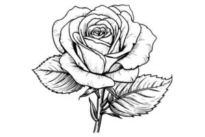 wijnoogst roos bloem gravure kalligrafische .Victoriaans stijl tatoeëren vector illustratie foto