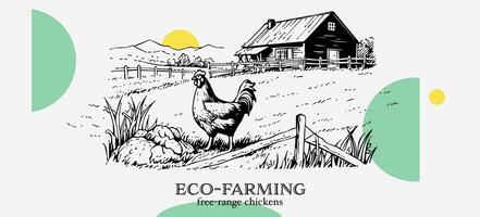 kippen in boerderij schetsen. landelijk landschap in wijnoogst gravure stijl vector illustratie foto