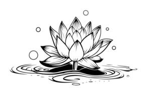 een lotus lelie water bloem in een wijnoogst houtsnede gegraveerde etsen stijl vector illustratie. foto