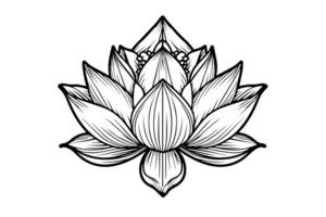 een lotus lelie water bloem in een wijnoogst houtsnede gegraveerde etsen stijl vector illustratie. foto