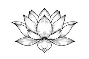 een lotus lelie water bloem in een wijnoogst houtsnede gegraveerde etsen stijl vector illustratie. foto