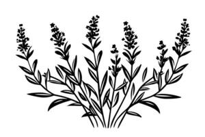 bloemen botanisch lavendel bloem hand- getrokken inkt schetsen. vector gravure illustratie. foto