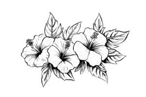 hibiscus bloemen in een wijnoogst houtsnede gegraveerde etsen stijl. vector illustratie. foto