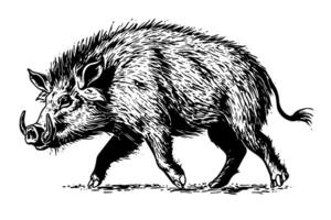 zwijn of wild varken tekening inkt schetsen, wijnoogst gegraveerde stijl vector illustratie. foto