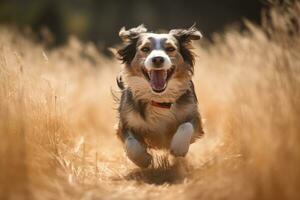 portret van een gelukkig buitenshuis zomer hond generatief ai foto