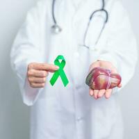 dokter met groen lint en menselijk lever anatomie model. lever kanker oktober bewustzijn maand, tumor, geelzucht, virus hepatitis, cirrose, mislukking, vergroot, lever encefalopathie, en Gezondheid concept foto