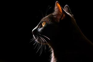 een zwart kat in de donker met geel ogen generatief ai foto