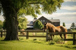 paard boerderij met groen landschap foto