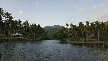 rivier- en palm bomen Bij zonsondergang, senggigi, lombok, Indonesië foto