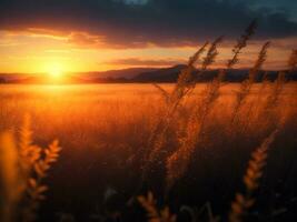 een adembenemend zonsondergang in de veld- Bij schemering, ai generatief foto