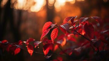 rood bladeren Bij zonsondergang met onscherp lichten - abstract herfst achtergrond, generatief ai foto