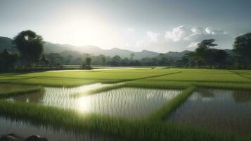 rijst- veld- in de stralen van de avond zon, de teelt van natuurlijk producten. ai gegenereerd. foto