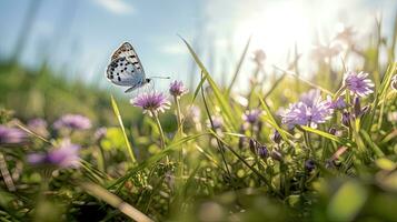 Purper vlinder Aan wild wit paars bloemen in gras in stralen van zonlicht. vlinder. generatief ai foto