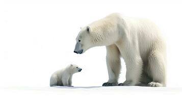 polair beer met welp geïsoleerd Aan de wit achtergrond. generatief ai foto