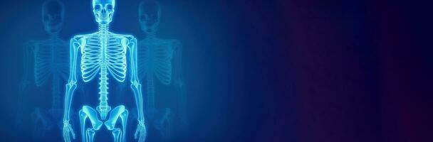 menselijk skelet in lamp licht, blauw achtergrond. wetenschappelijk lichaam anatomie. ai gegenereerd. foto