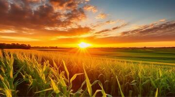 zonsopkomst over- de korenveld, generatief ai foto