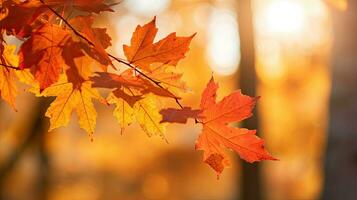 herfst bladeren Aan de zon en wazig bomen voor vallen achtergrond. generatief ai foto