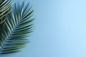tropisch palm bladeren Aan een blauw achtergrond met kopiëren ruimte. zomer. ai gegenereerd foto
