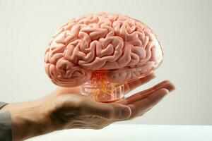 geïsoleerd Aan wit, een hand- houdt een model- van de menselijk hersenen ai gegenereerd foto